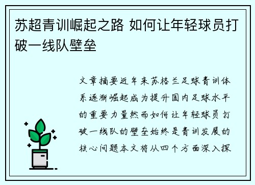 苏超青训崛起之路 如何让年轻球员打破一线队壁垒 苏超青训崛起之路 如何让年轻球员打破一线队壁垒